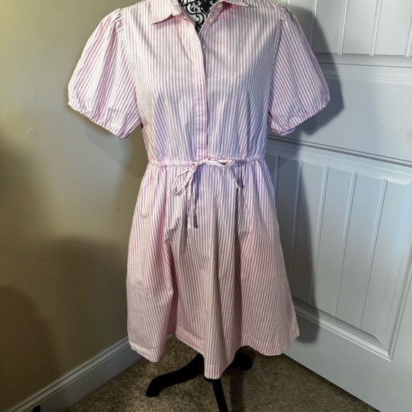 J. Crew Pink and White Striped Dress NWT - Picture 3 of 6